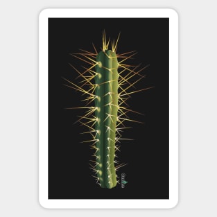 Trichocereus Bridgesii Sticker